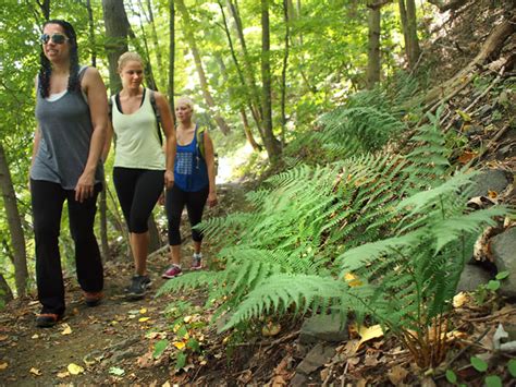 Trails & Hiking | Palisades Interstate Park in New Jersey