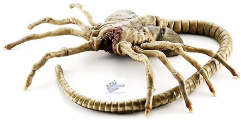 Facehugger - Alien movies - Profile/notes for this alien form ...