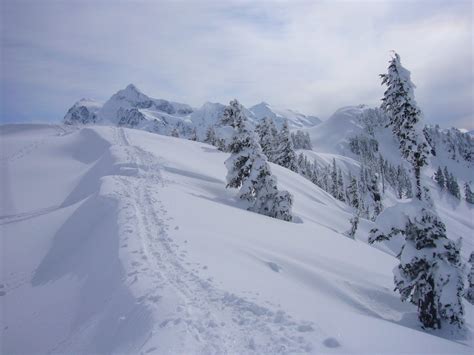 Artist Point Snowshoe — Washington Trails Association