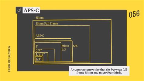 Full Frame vs. APS-C — Camera Sensor Pros & Cons Explained