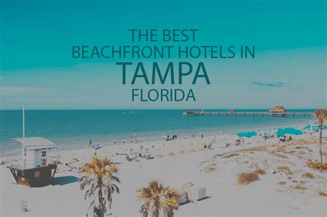 11 Best Beachfront Hotels in Tampa, Florida 2024 - WOW Travel