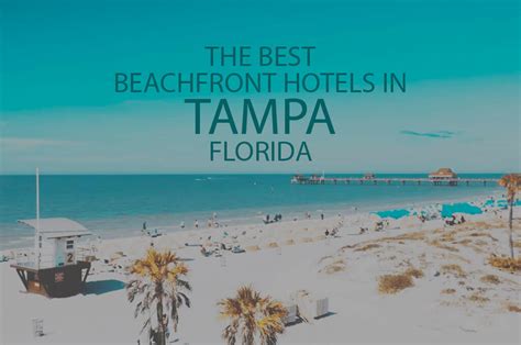 11 Best Beachfront Hotels in Tampa, Florida 2024 - WOW Travel