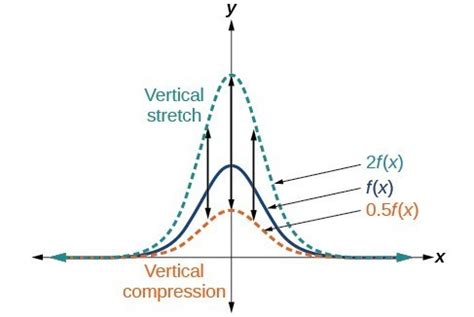 Graph functions using compressions and stretches | College Algebra