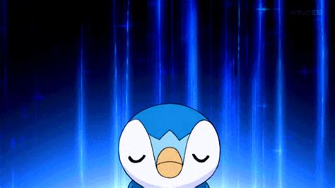 Piplup | Pokémon Amino