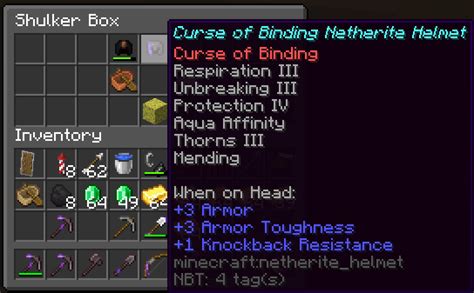 Maxed out a curse of binding Netherite helmet cause why not : r/Minecraft