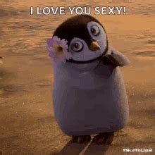 Penguin Heart Meme