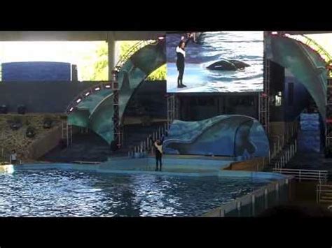 Entire Shamu Show October 2010 - YouTube