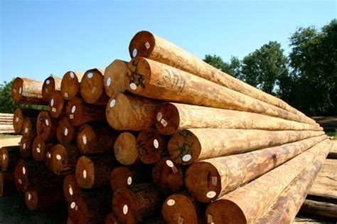 Commercial Utility Poles | Capitol City Lumber