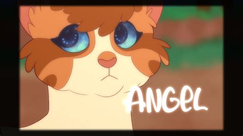 ANGEL - Brightpaw/Swiftpaw-Warriors PMV - YouTube