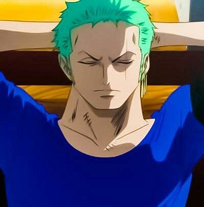 Zoro Zou Arc | Roronoa zoro, Zoro, Anime