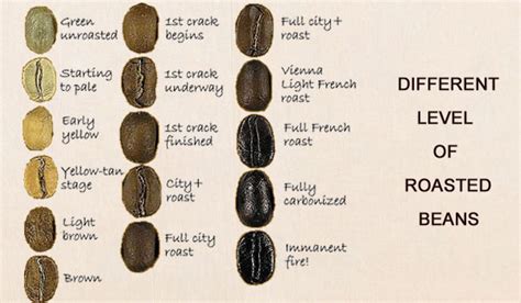 6 Tips for choosing the Best Coffee beans