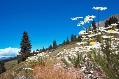 Camping in Summit County, Colorado | USA Today