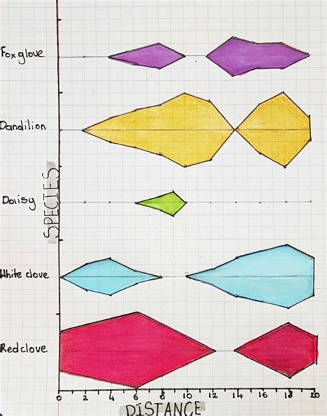 Favorite Info About How To Draw A Kite Diagram - Significancewall