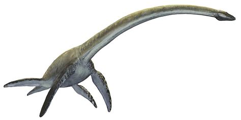 Elasmosaurus platyurus, tarih öncesi bir dinozor. Poster | Fruugo TR