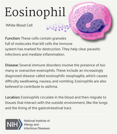 Eosinophils Range