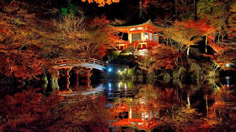 nature, Trees, Forest, Leaves, Fall, Branch, Japan, Bridge, Night, Asian Architecture, Lights ...