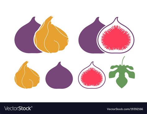 Fig logo Royalty Free Vector Image - VectorStock