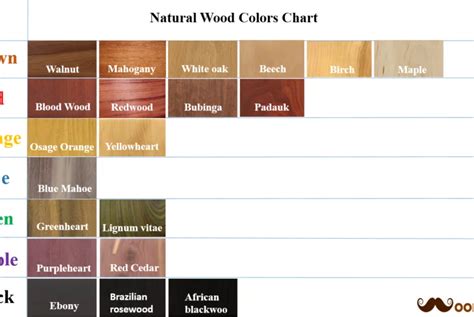 Natural Wood Colors Chart | Wood colors, Natural wood, Wood wall art diy