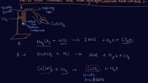 Metals Carbonates and Metal Hydrogen Carbonates Reacts with Acid | Class 10 Acids Bases and ...