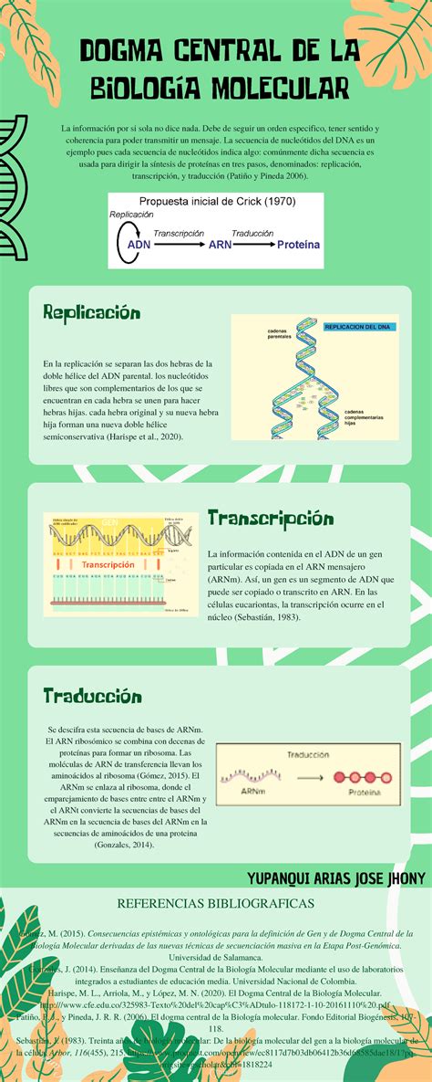 Infografía Dogma Central DE LA Biología Molecular - DOGMA CENTRAL DE LA BIOLOGÍA MOLECULAR La ...