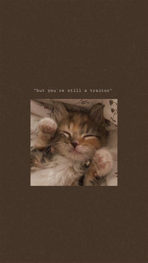 a small kitten laying on top of a bed next to a quote that reads, but you're still a creature?