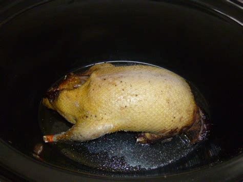 Slow cooker Wild Duck | Slow Cooker Central