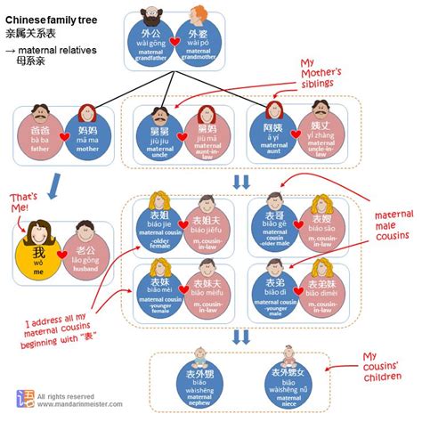 7 best Chinese Family Tree images on Pinterest | Chinese, Chinese ...