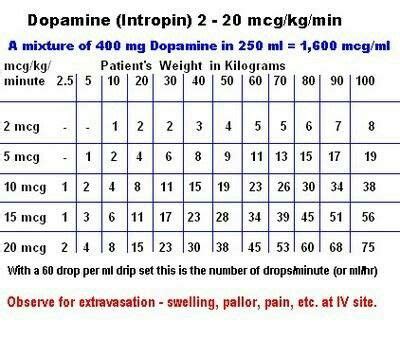 Dopamine drip rate | Medical math, Dopamine, Critical care nursing