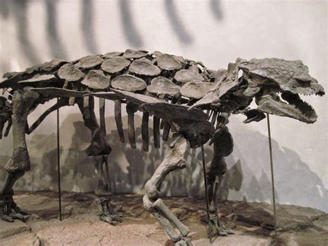 What happens when a non-accredited paleontology fan blogs: Species That ...