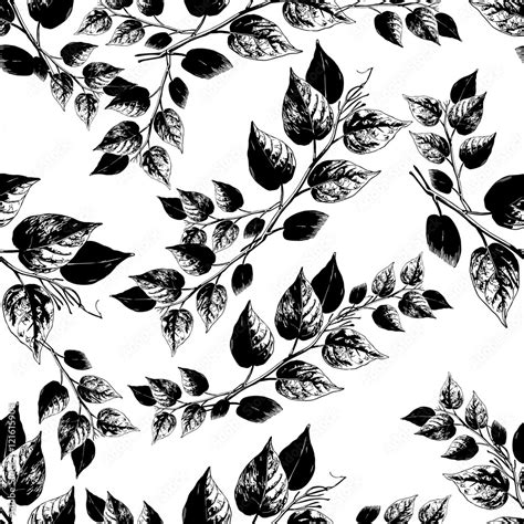 seamless black and white leaves pattern Stock Vector | Adobe Stock