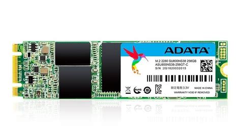 Wholesale Wholesale ADATA SU800 742403 256GB M.2 2280 Supplier