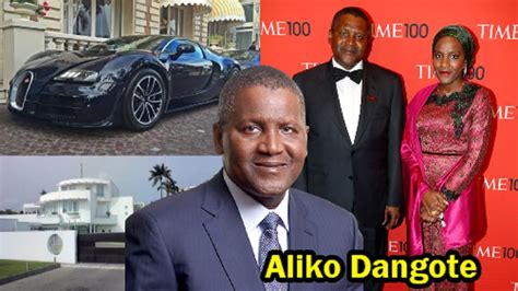 Aliko Dangote Properties