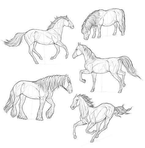 How To Draw A Horse Step By Step Realistic Easy