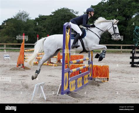 A grey horse and rider jump a coloured show jump Stock Photo - Alamy