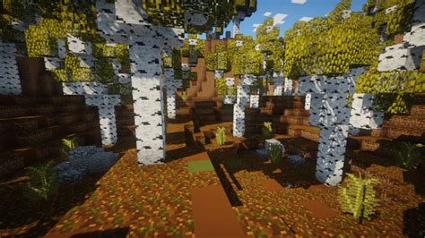 Birch Forest Minecraft Map