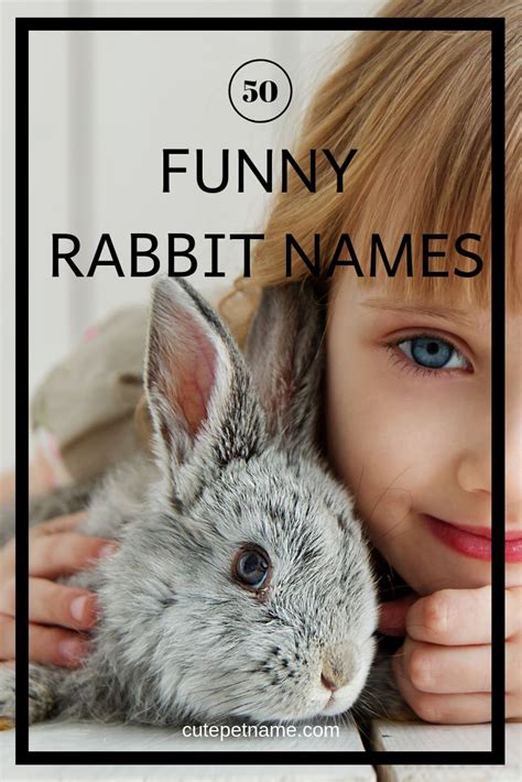 50 Cool and Funny Rabbit Names and Pet Naming Guide | Cute Pet Name | Rabbit names, Cute pet ...