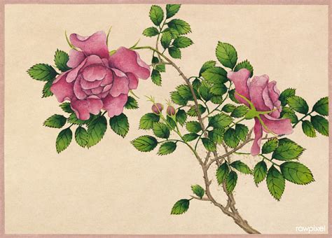 Rose (18th Century) painting in high resolution by Zhang R… | Flickr