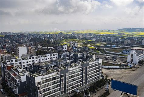 an aerial view of a city with lots of tall buildings and yellow flowers ...