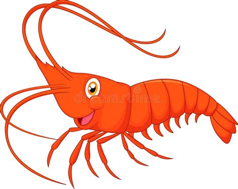 Cute cartoon shrimp stock vector. Illustration of gourmet - 45856119