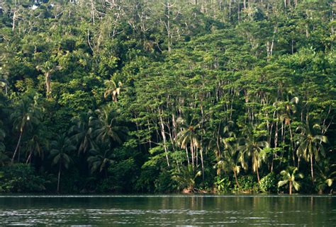 Island Hopping in Port Lamon, Hinatuan - Surigao del Sur ~ Geejay ...