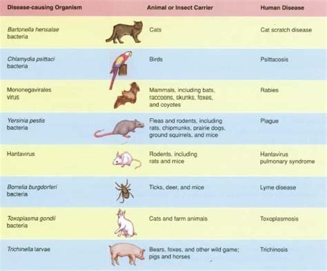 Aryan Classes: What are Zoonoses