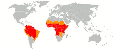 BugBitten Yellow Fever cases on the rise in West Africa