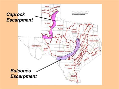 PPT - Regions of Texas PowerPoint Presentation - ID:6903675