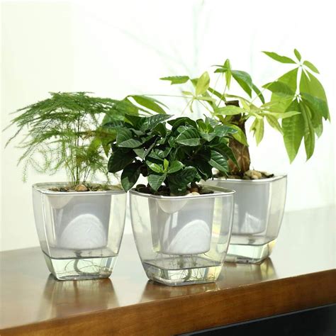 Top 10 Self Watering Office Plant Pot - Life Sunny