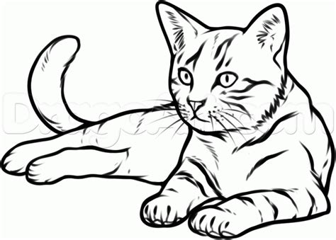 Black Cat Drawing Images at GetDrawings | Free download