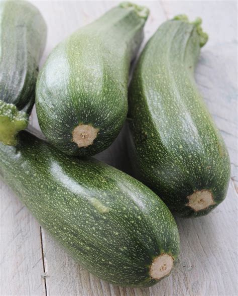 round zucchini Archives - Provident Home Companion