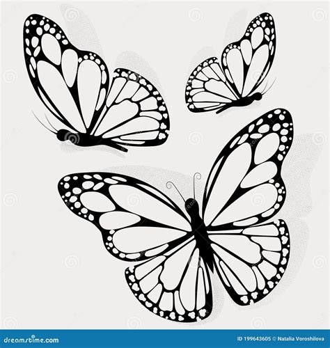 Silhouette of Butterfly. Tattoo Butterfly Stock Illustration - Illustration of cute, beautiful ...