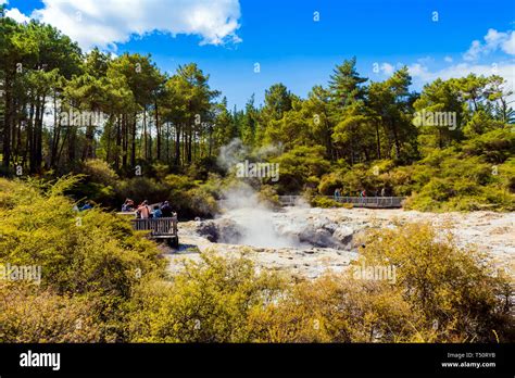 ROTORUA, NEW ZEALAND - OCTOBER 10, 2018: Geothermal pools in Wai-O-Tapu park Stock Photo - Alamy