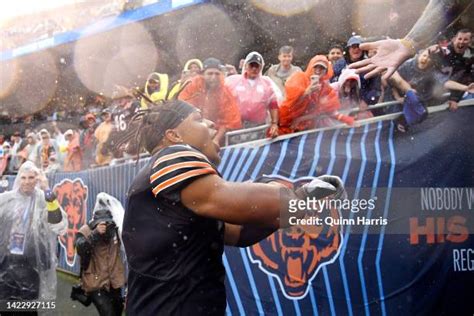 3,957 Chicago Bears Fans Stock Photos, High-Res Pictures, and Images - Getty Images