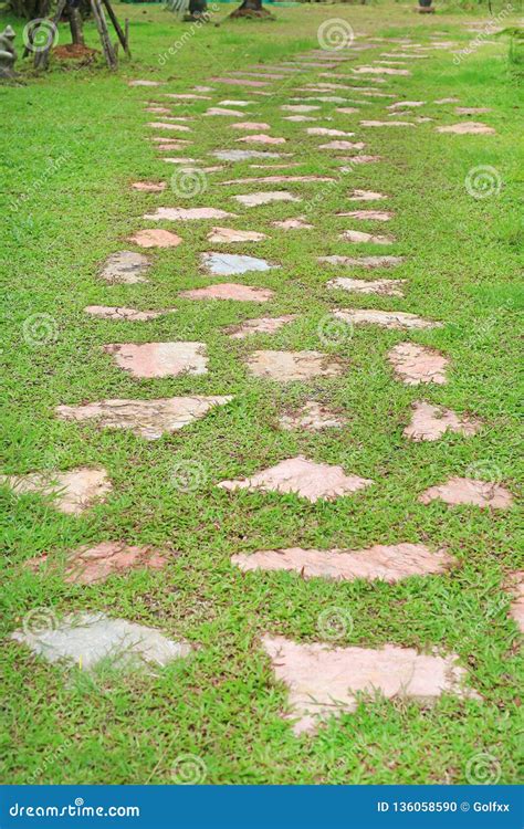 Stone Pathway in the Park with Green Grass Background Stock Photo - Image of ground, outdoor ...